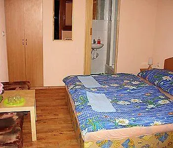 Wellness Maxim Guest house Bojnice
