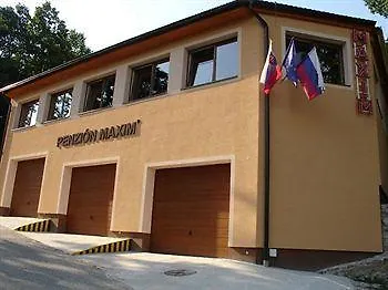 Πανσιόν Maxim Wellness