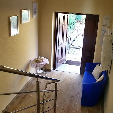 Wellness Maxim Guest house 3*