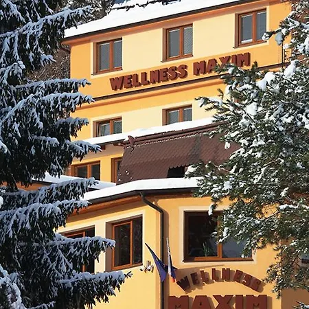 Wellness Maxim Guest house 3*