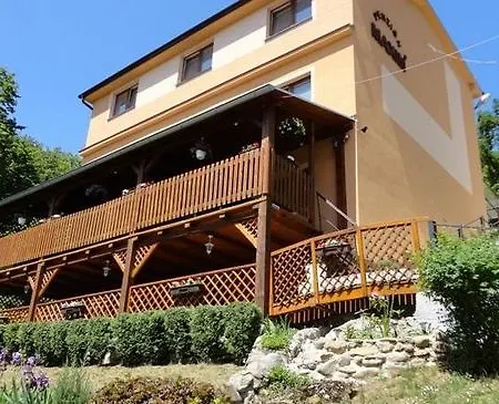 Maxim Wellness Πανσιόν 3*